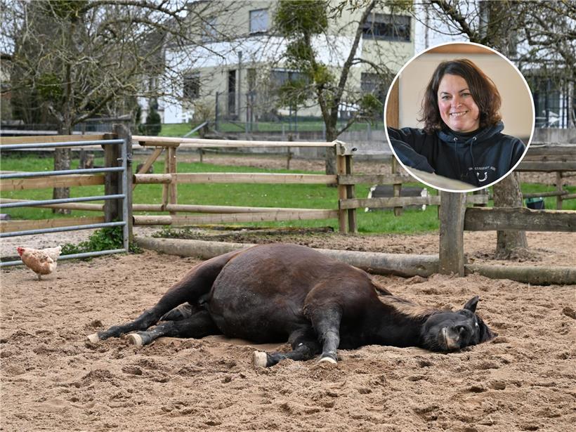  Carole Schalbar-Hipp bringt Kindern die Welt des Bauernhofs ein Stückchen näher