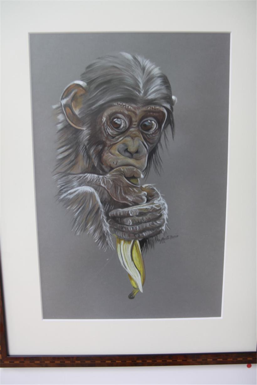 … bis Zeichnungen …