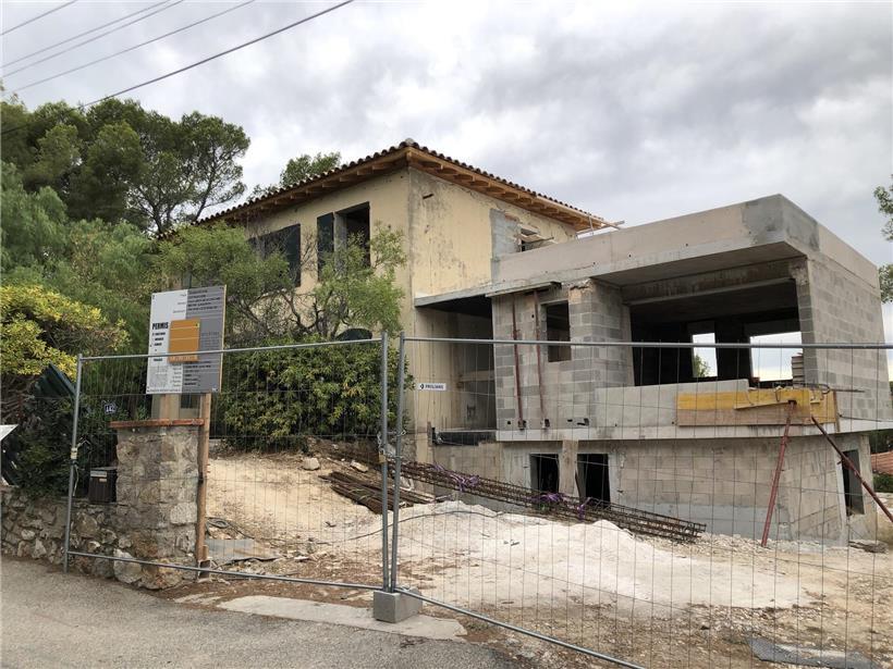 Pinienwald im Umbaugebiet, grüne Pinien stehen stabil und unverändert im Wandel der Landschaft