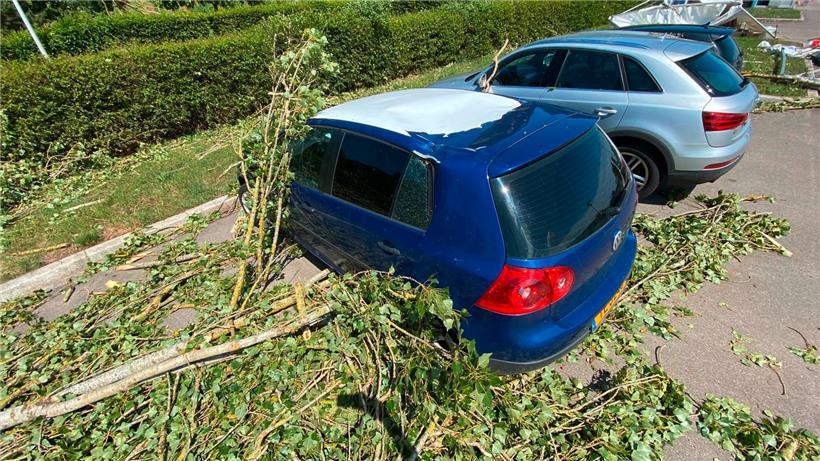 … und warf die Äste auch auf die Fahrzeuge, die in der Nähe parkten.