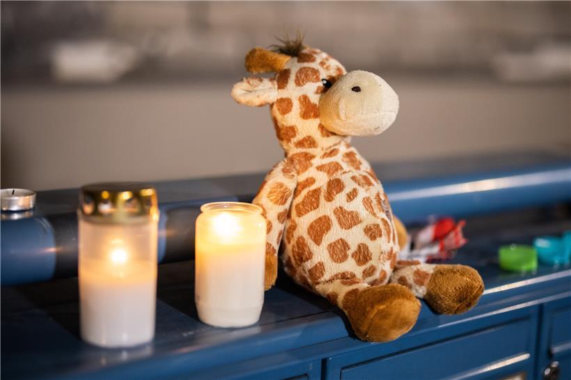 04.09.2020, Nordrhein-Westfalen, Solingen: Ein Teddybär und ein Stofftier sitzen...