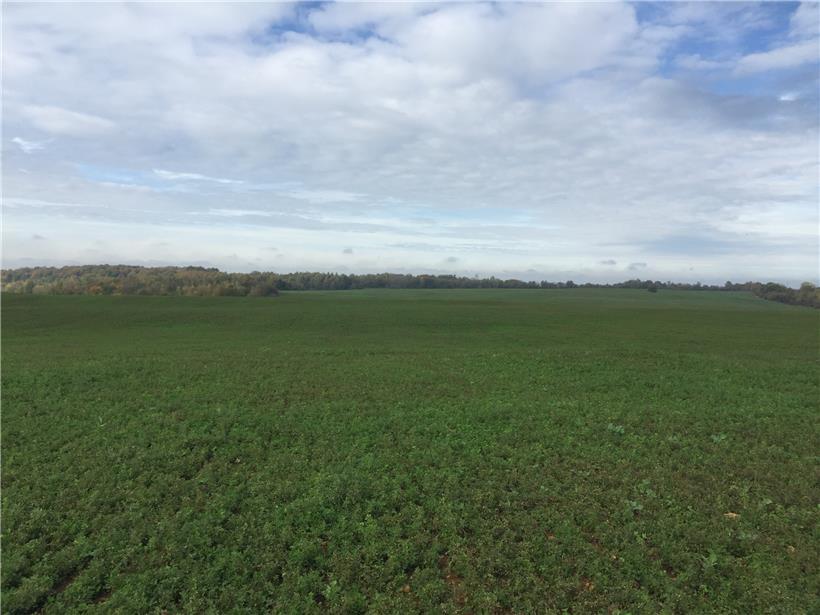 100 Hektar des neu erworbenen Grundstücks werden als Ackerland genutzt
