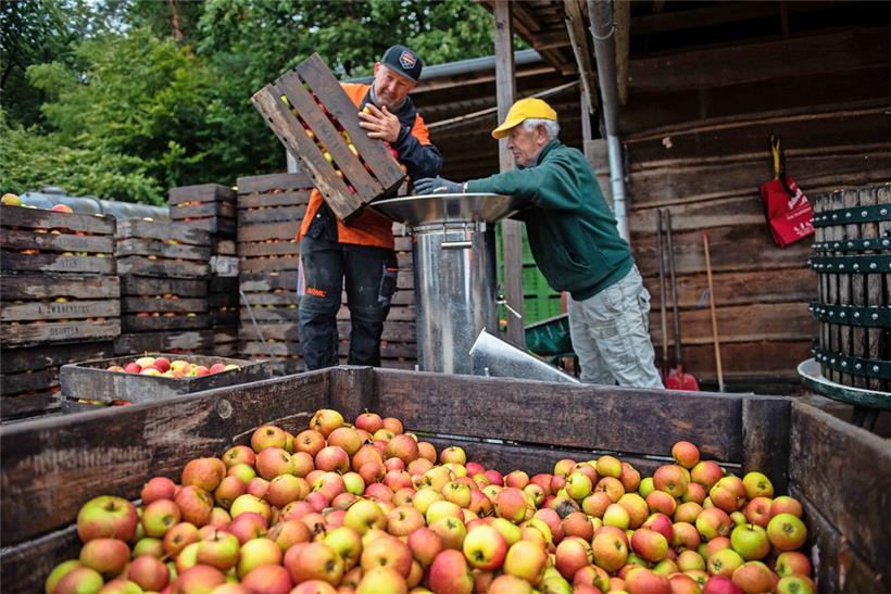 1.010 Tonnen Äpfel wurden 2021 in Luxemburg geerntet
