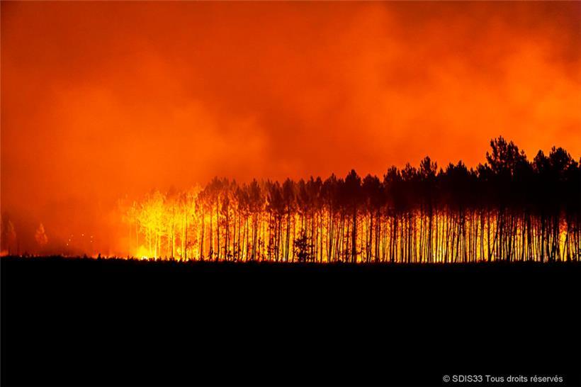 12.08.2022, Frankreich, Saint-Magne: Dieses von der Feuerwehr der Region Gironde SDIS 33 (Departementaler Feuerwehr- und Rettungsdienst 33) zur Verfügung gestellte Foto zeigt einen Waldbrand in der Nähe von Saint-Magne, südlich von Bordeaux
