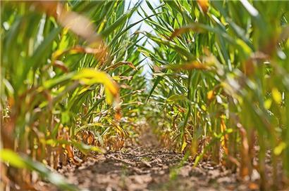 2022 wurden unter anderem Höchstwerte im Sommer gemessen
