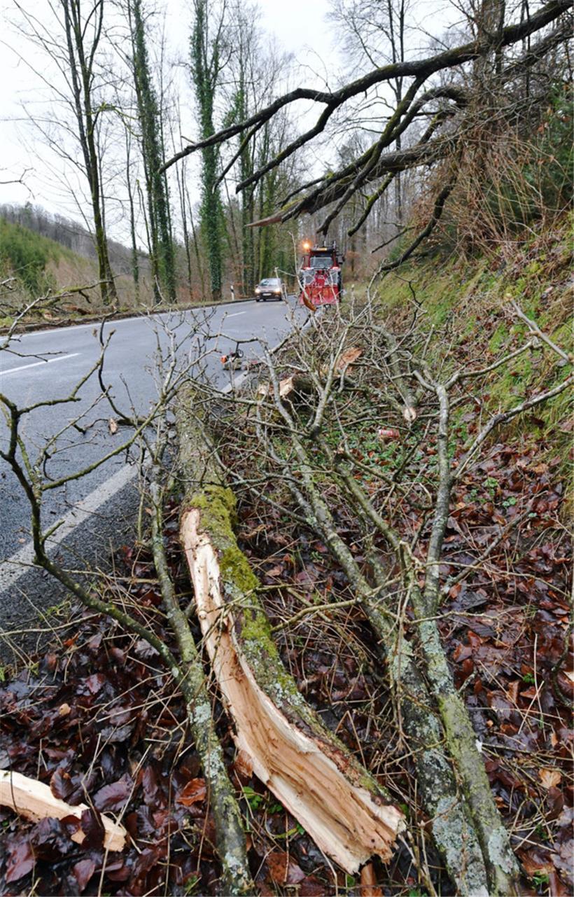 20220218 Kreuzererbuch , (Eischen) , tempete , arbre bloque la route , Foto: Edi...