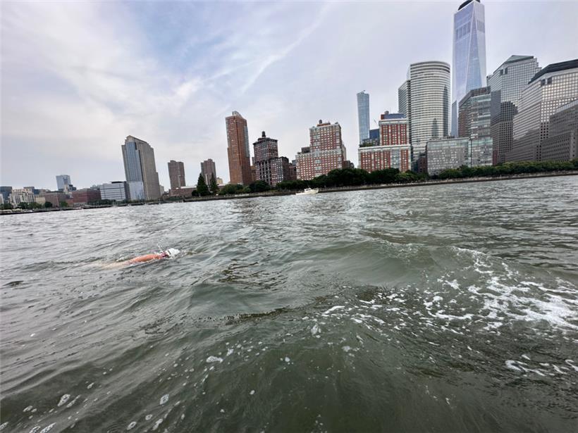 2023 schaffte Paule Kremer die „20 Bridges“ in Manhattan
