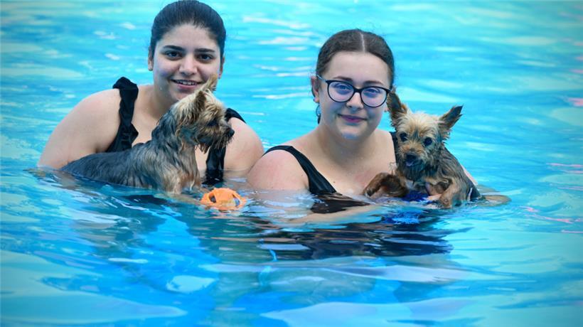 20230903 Dudelange , piscine , baignade pour chiens , Hundebaden , Foto: Editpre...