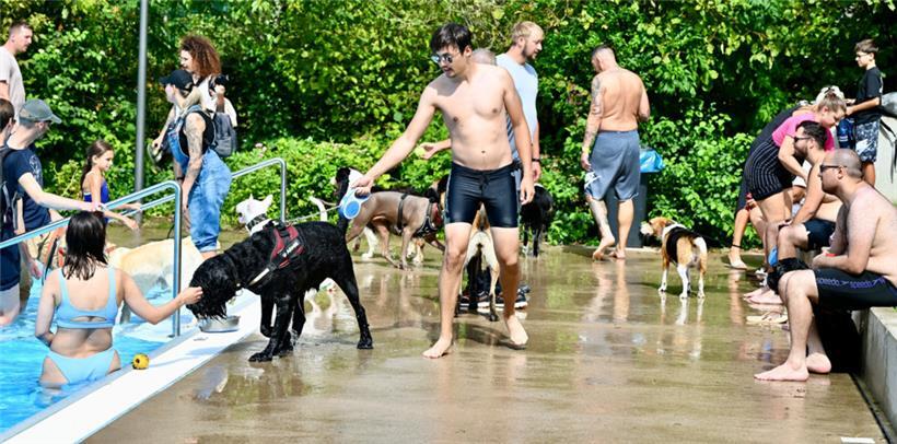 20230903 Dudelange , piscine , baignade pour chiens , Hundebaden , Foto: Editpre...
