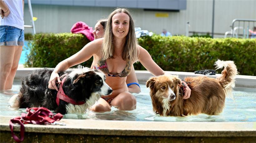 20230903 Dudelange , piscine , baignade pour chiens , Hundebaden , Foto: Editpre...