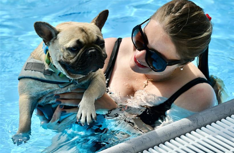 20230903 Dudelange , piscine , baignade pour chiens , Hundebaden , Foto: Editpre...