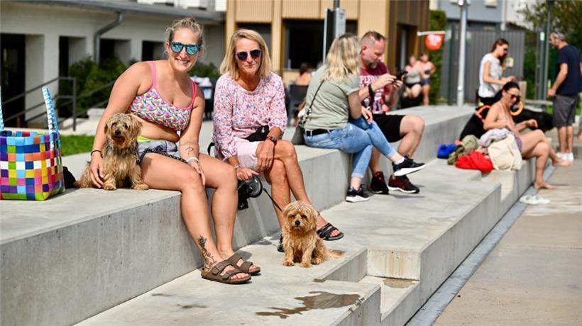 20230903 Dudelange , piscine , baignade pour chiens , Hundebaden , Foto: Editpre...
