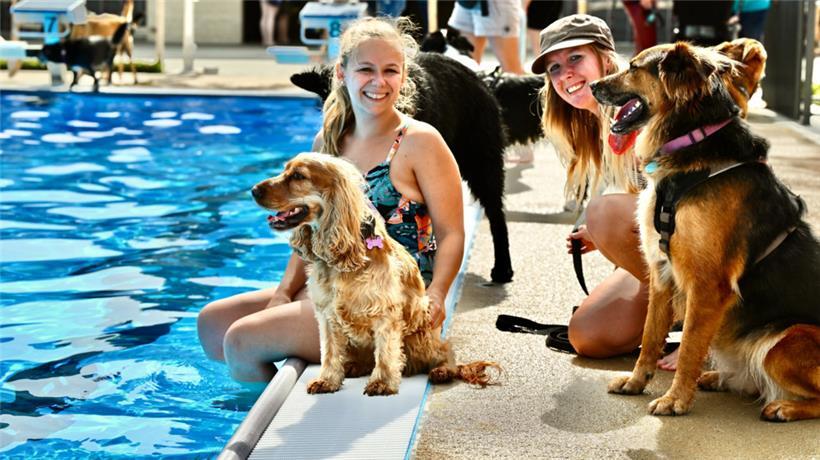 20230903 Dudelange , piscine , baignade pour chiens , Hundebaden , Foto: Editpre...