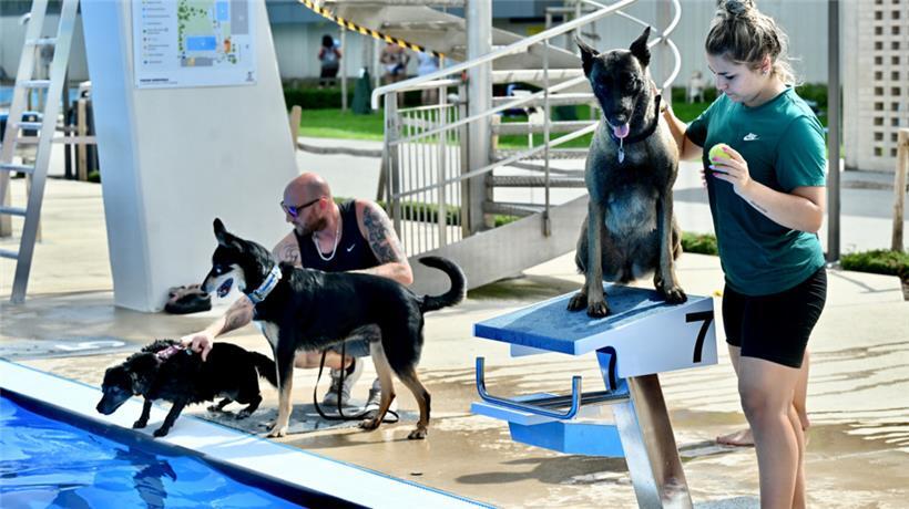 20230903 Dudelange , piscine , baignade pour chiens , Hundebaden , Foto: Editpre...