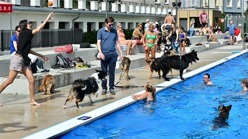 20230903 Dudelange , piscine , baignade pour chiens , Hundebaden , Foto: Editpre...