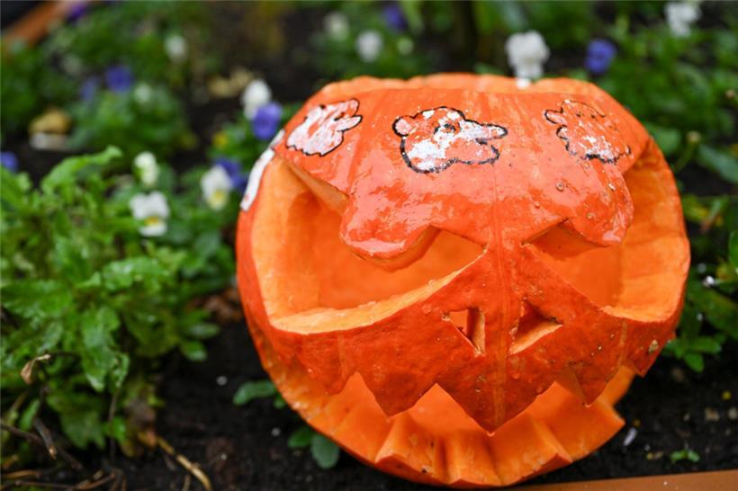 20231028, Esch sur Alzette, Centre ville, Halloween Parade Monster Esch sur Alze...