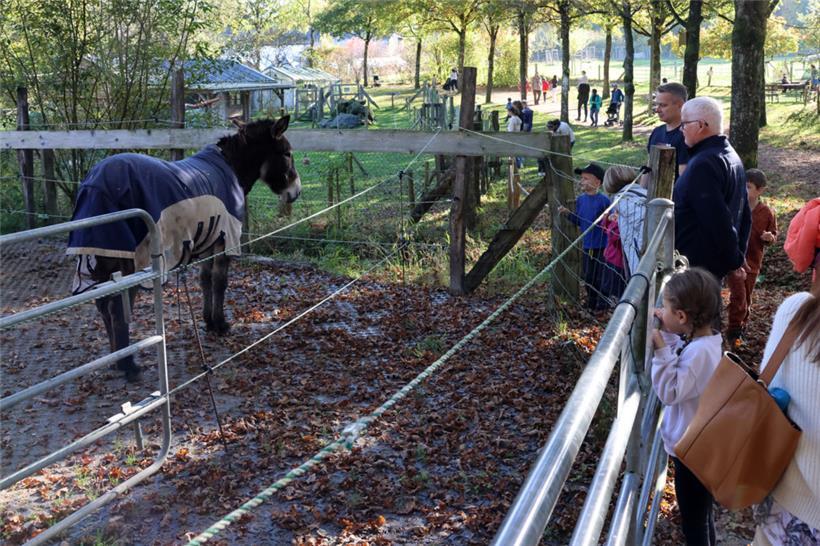20241026, Kockelscheuer, Rue de Kockelscheuer 5, Feier des 30-jährigen Bestehens des "Haus vun der Natur", Ouverture officielle en présence du Collège échevinal de la Ville de Luxembourg, Ateliers interactifs et stands d’information sur les projets de protection de la nature, Foto: Editpress/Didier Sylvestre
