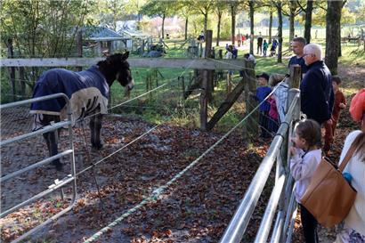 20241026, Kockelscheuer, Rue de Kockelscheuer 5, Feier des 30-jährigen Bestehens des "Haus vun der Natur", Ouverture officielle en présence du Collège échevinal de la Ville de Luxembourg, Ateliers interactifs et stands d’information sur les projets de protection de la nature, Foto: Editpress/Didier Sylvestre
