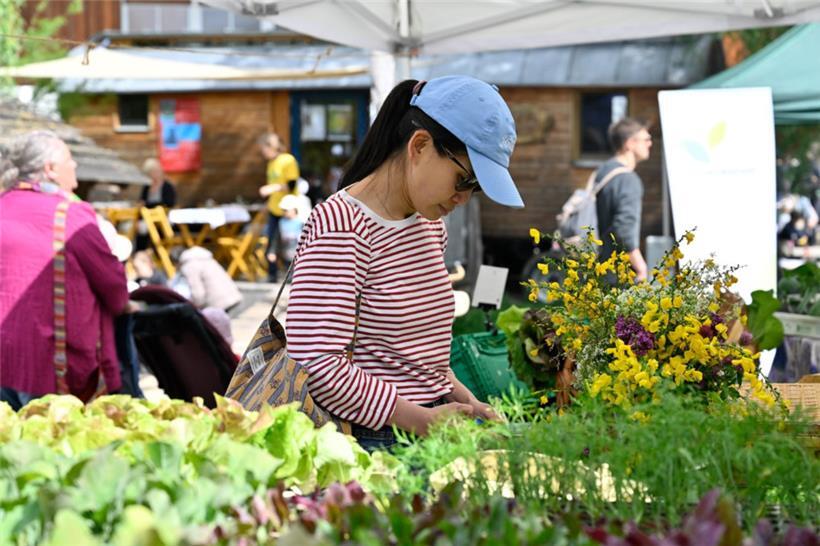 20250504. Journée Portes Ouvertes Kass-Haff-Fest.