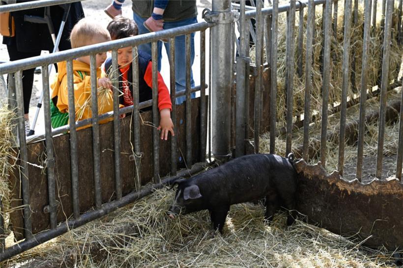 20250504. Journée Portes Ouvertes Kass-Haff-Fest.