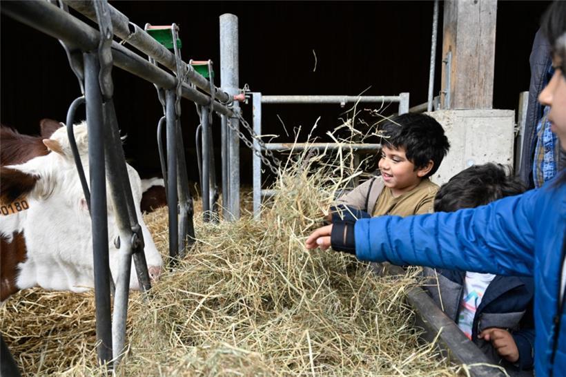 20250504. Journée Portes Ouvertes Kass-Haff-Fest.