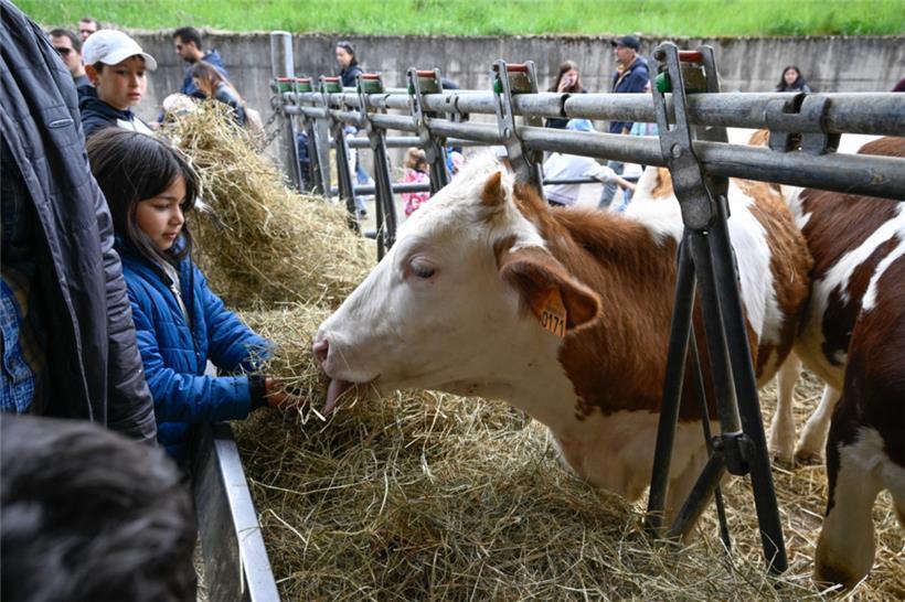 20250504. Journée Portes Ouvertes Kass-Haff-Fest.