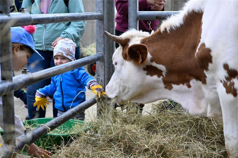20250504. Journée Portes Ouvertes Kass-Haff-Fest.