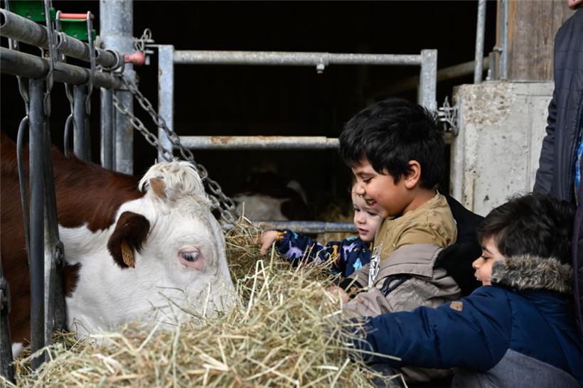 20250504. Journée Portes Ouvertes Kass-Haff-Fest.