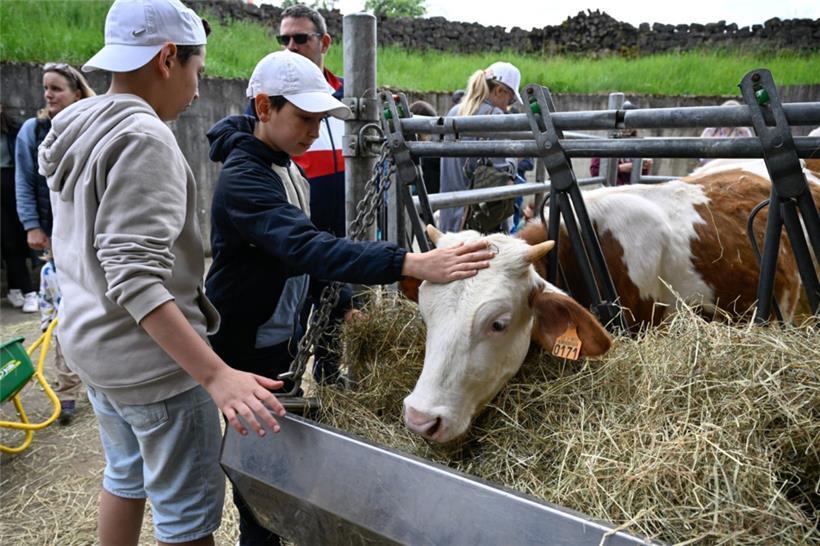 20250504. Journée Portes Ouvertes Kass-Haff-Fest.