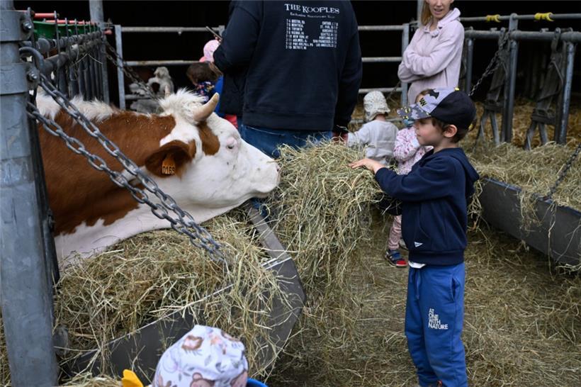 20250504. Journée Portes Ouvertes Kass-Haff-Fest.
