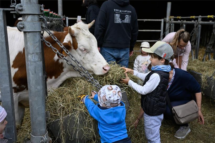 20250504. Journée Portes Ouvertes Kass-Haff-Fest.