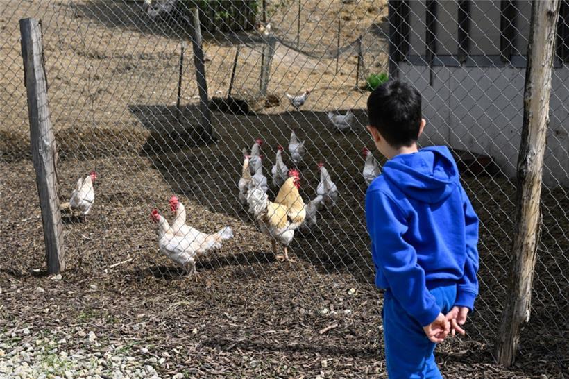 20250504. Journée Portes Ouvertes Kass-Haff-Fest.