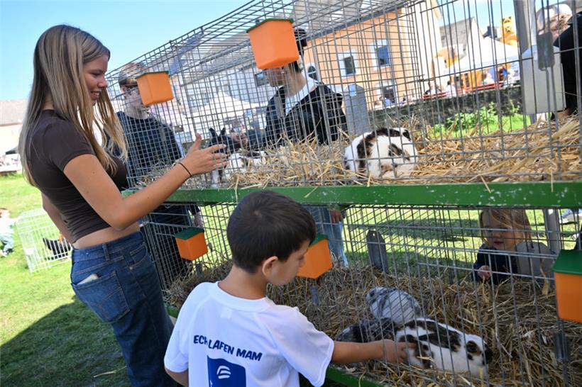 20250928, Kropemannsfest