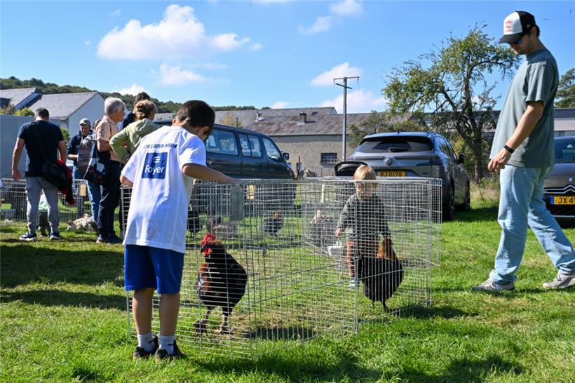 20250928, Kropemannsfest