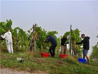 239 Arbeitsstunden am Projekt mit viel Herzblut, zeigt engagiertes Team und intensive Zusammenarbeit im Büro.