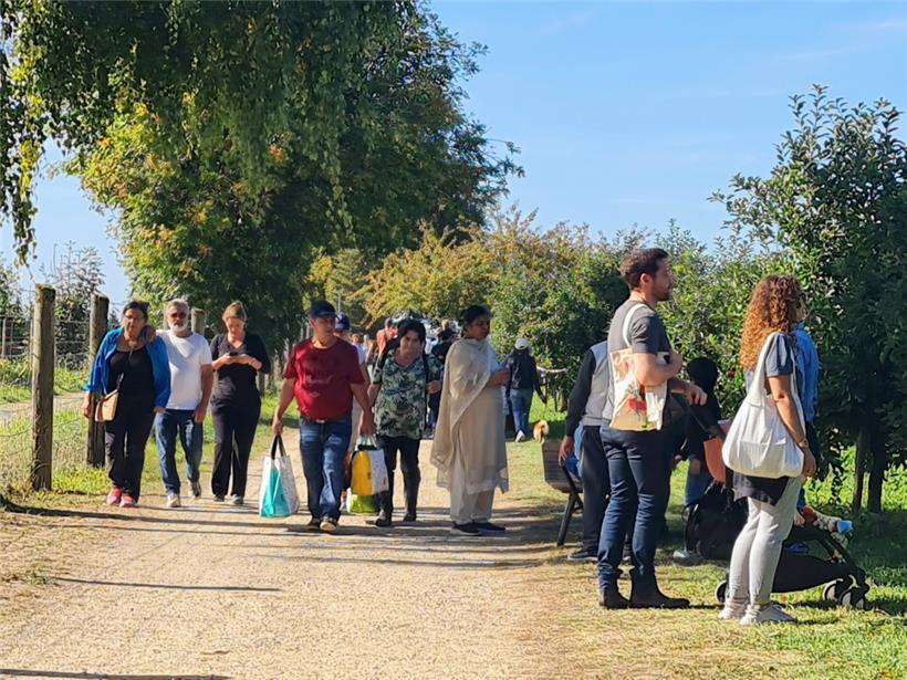 25.000 Bäume und 15 verschiedene Sorten – der Apfel stand in Steinsel im Mittelpunkt
