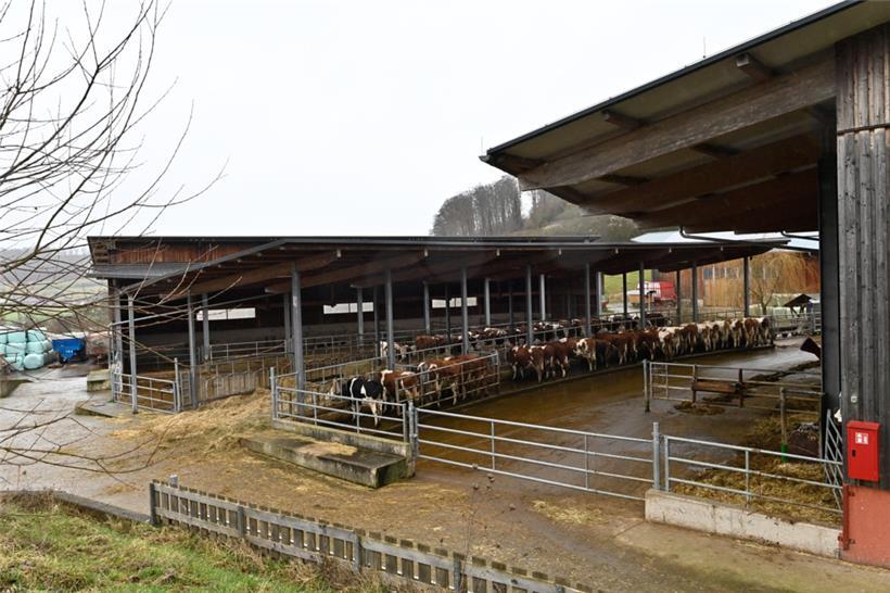 30 Prozent der Kass-Haff S.à r.l. hält Oikopolis Participations, 60 Prozent die ...