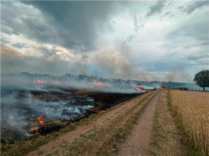 44 Vegetationsbrände wurden seit Beginn des Jahres bei der Feuerwehr registriert – einer davon Anfang Juli in Eschdorf 

