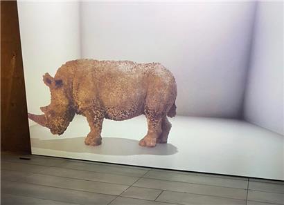 A la Möllerei, un rhinocéros blanc du Nord ramené à la vie, et devenant de plus en plus réel grâce à l’intelligence artificielle
