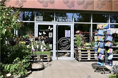 Schmetterlingsgarten mit bunten Schmetterlingen und Pflanzen, ab April wieder für Besucher geöffnet