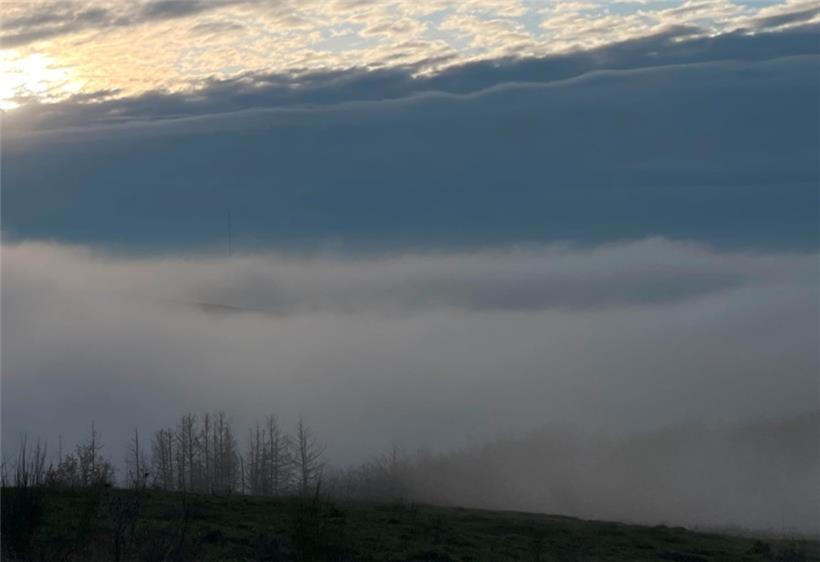 Ab Mittwoch kommt etwas Bewegung ins Nebel-Einheitsgrau
