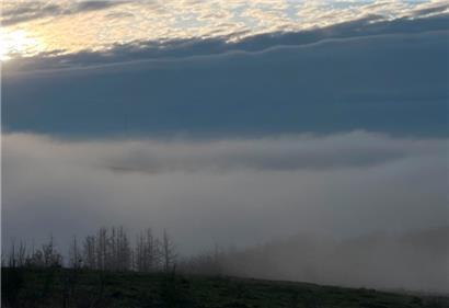 Ab Mittwoch kommt etwas Bewegung ins Nebel-Einheitsgrau
