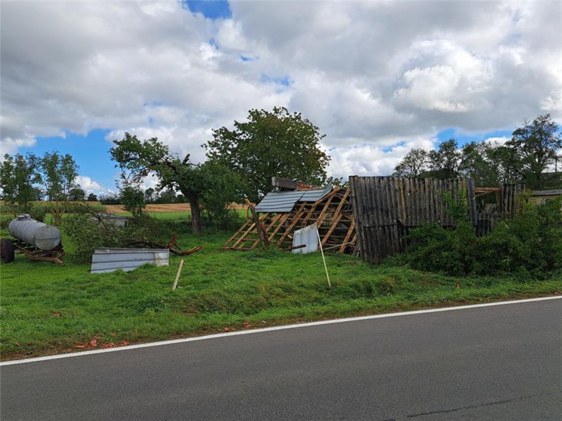 Abgebrochene Äste von Bäumen