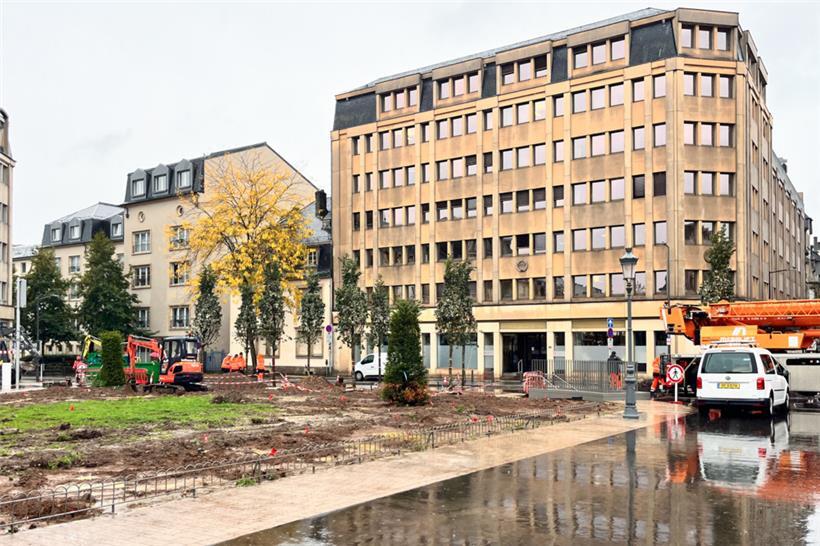 Acht Bäume standen am späten Mittwochmorgen bereits, ein weiterer kam an dem Tag...