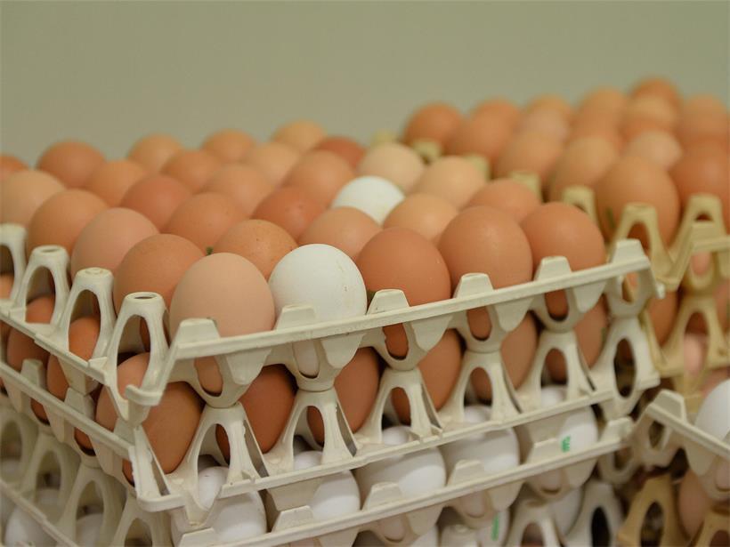 Achtung, Salmonellengefahr: Die ALVA ruft bestimmte Eier in Luxemburg zurück