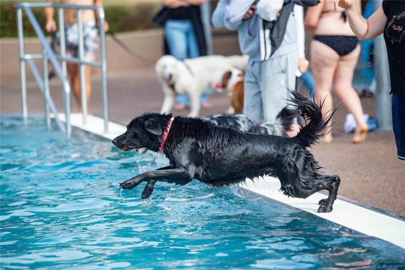 „Achtung, jetzt komme ich!“