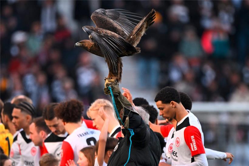 Adler Attila ist das Maskottchen von Eintracht Frankfurt
