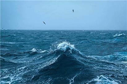 Albatrosse auf dem Weg zu den Kerguelen-Inseln im südlichen Teil des Indischen Ozeans. Die Meeresströmungen in der Gegend könnten sich in den kommenden Jahrzehnten verlangsamen, was tiefgreifende Auswirkungen auf das Weltklima hätte.
