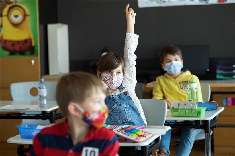 Alle Schüler, Lehrer und andere Bildungsfachleute werden dazu eingeladen, sich auf das Coronavirus testen zu lassen 
