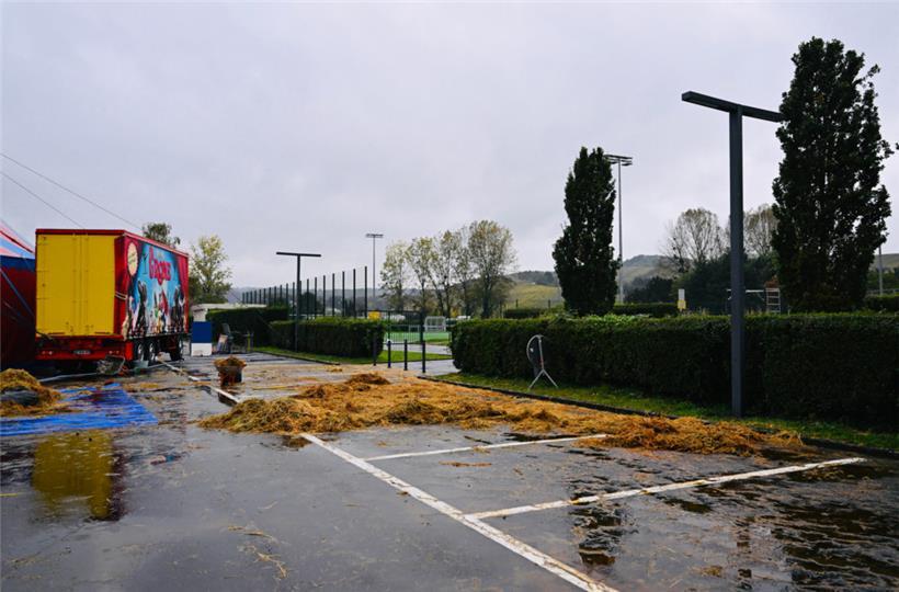 Am Donnerstagnachmittag waren keine Tiere mehr auf dem Parkplatz zu finden
